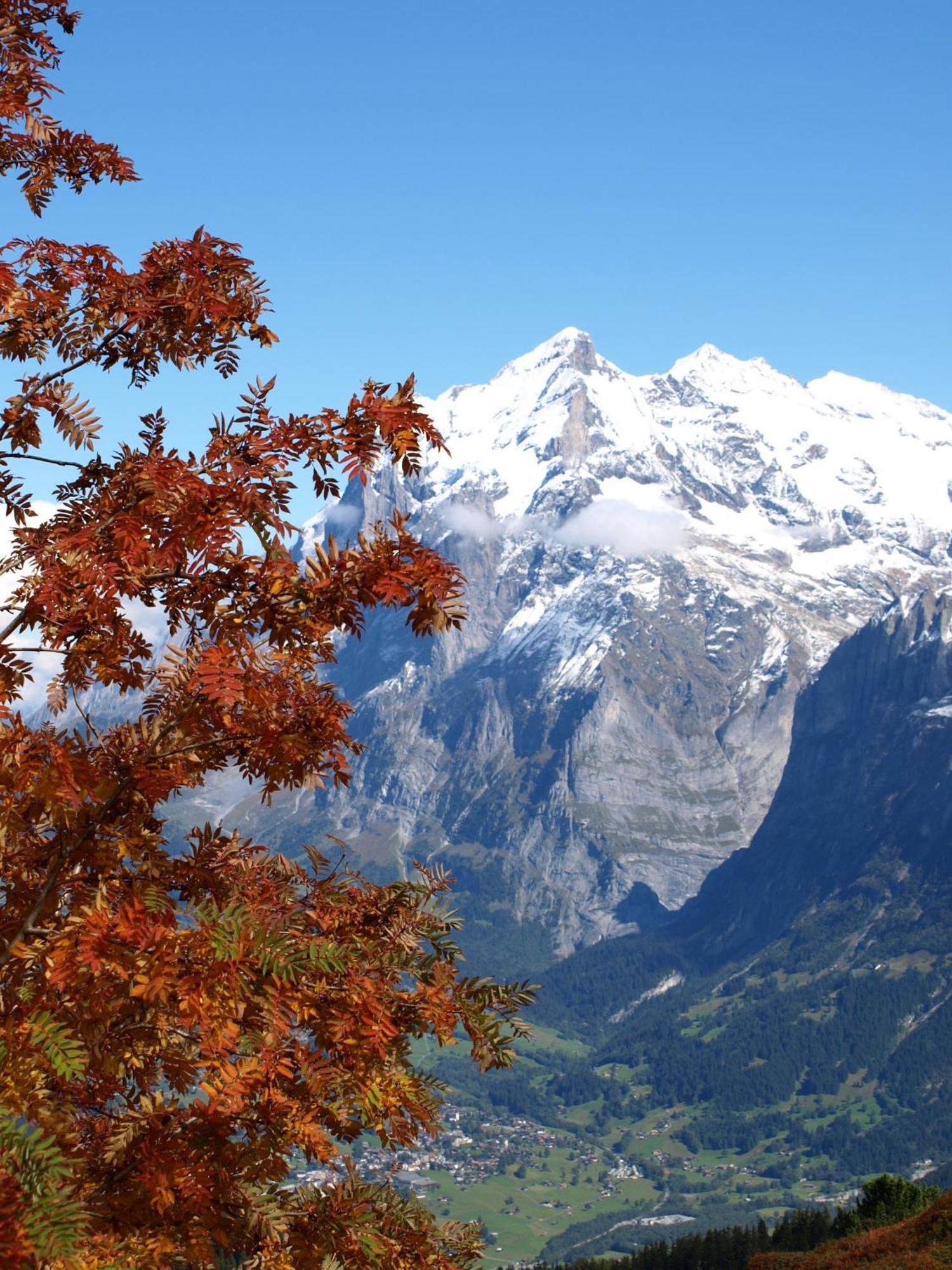 Bel-Air Eden Hotel Grindelwald Exterior photo